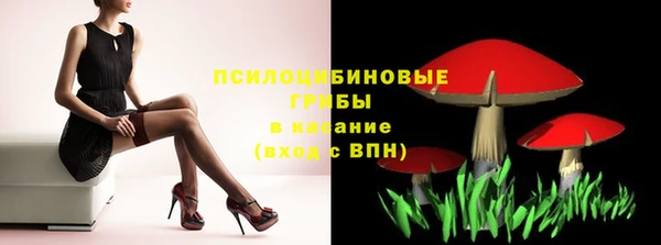 сатива Алексин