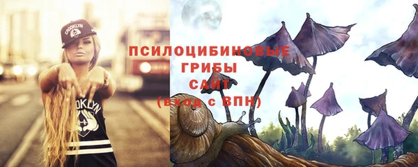 крисы Пролетарск
