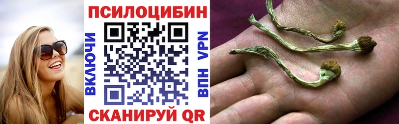 Псилоцибиновые грибы GOLDEN TEACHER что такое даркнет формула Динская