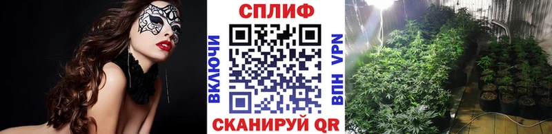 цены наркотик  Динская  Марихуана тримм 